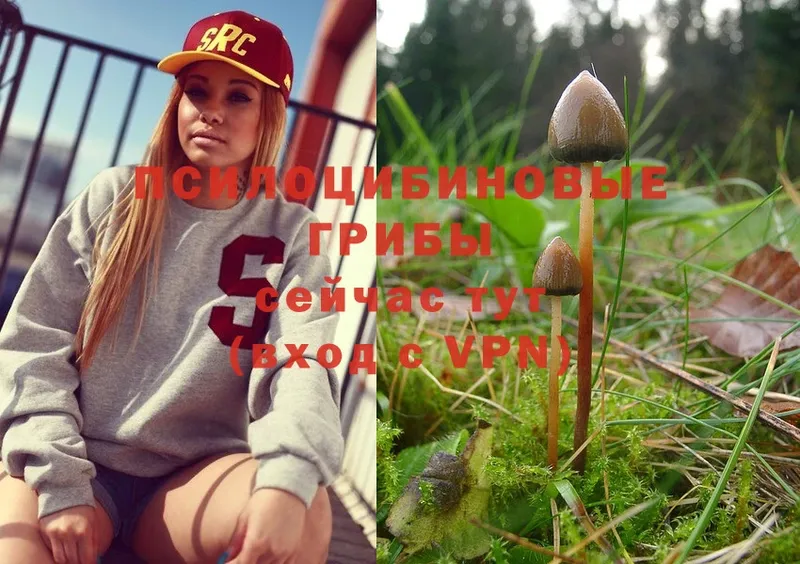 Галлюциногенные грибы MAGIC MUSHROOMS  как найти   ОМГ ОМГ маркетплейс  Пушкино 